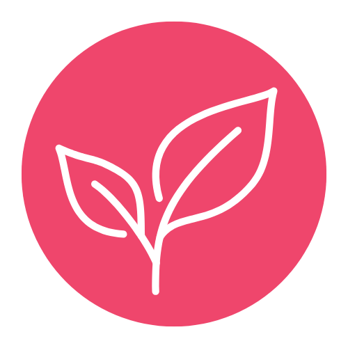 Alt Image